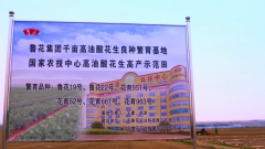 <b><b>以现实步履社会义务</b></b>