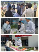 <b><b>米面油、新颖餐具划一摆放</b></b>